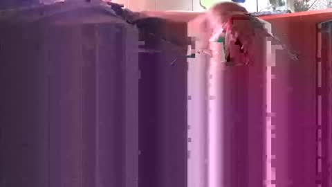 Snapshot of yangolox3 chatting on October 4, 2025, 5:00 pm yangolox3 online show from October 4, 2025, 5:00 pm