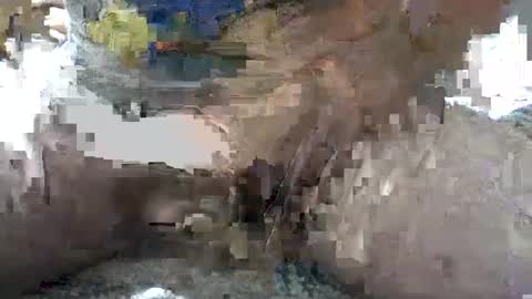 Snapshot of yankee85 chatting on October 6, 2025, 5:38 am Yankee online show from October 6, 2025, 5:38 am