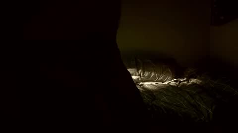 yaradeeyarama online show from February 8, 2026, 3:48 pm