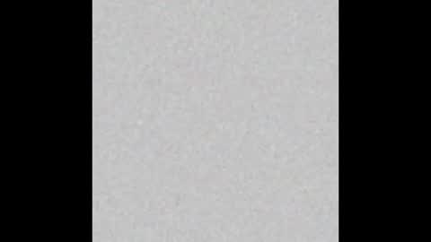 .     y e l l o w s n a k e s       . online show from March 25, 2026, 1:00 am