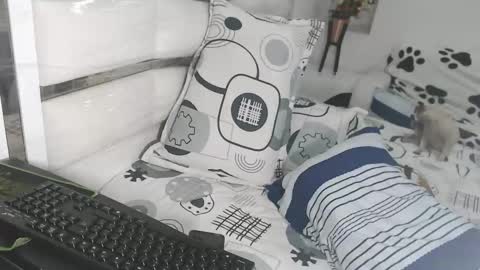 YINAROSS online show from March 10, 2026, 9:09 pm