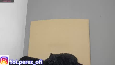 Yoi Olimpo online show from February 12, 2025, 12:22 pm