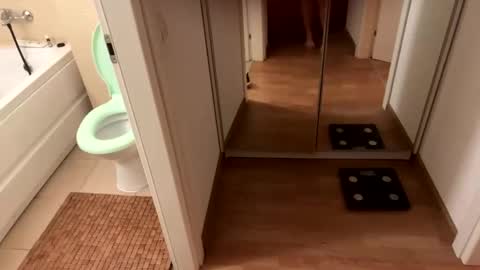 Snapshot of yonise909383 chatting on February 3, 2025, 12:36 am yonise909383 online show from February 3, 2025, 12:36 am