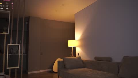 Snapshot of yoori_s chatting on January 3, 2025, 12:52 pm Mika online show from January 3, 2025, 12:52 pm