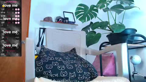Snapshot of yosoy_enzo2020 chatting on February 24, 2025, 4:15 pm Enzo online show from February 24, 2025, 4:15 pm
