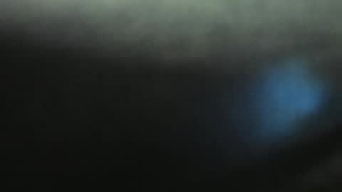 Evelline online show from January 11, 2025, 3:20 pm