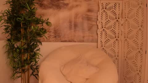 Snapshot of yourmidnightcoffee chatting on January 28, 2025, 11:28 pm Sarah online show from January 28, 2025, 11:28 pm