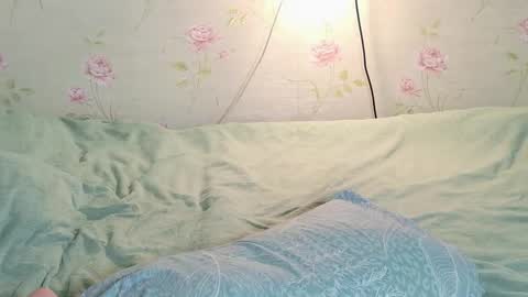 Polly online show from March 18, 2026, 2:31 pm