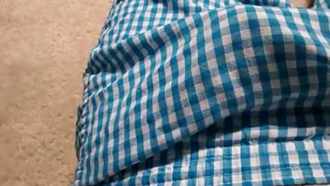 yummyduda online show from July 8, 2026, 5:23 am