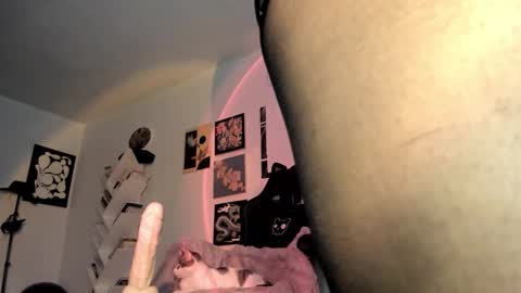 paola online show from January 15, 2026, 9:18 pm