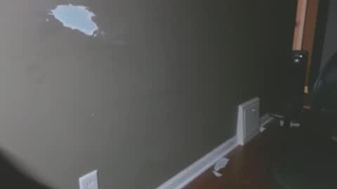 Snapshot of zerozero5555 chatting on February 12, 2025, 12:05 am bambi cumslut online show from February 12, 2025, 12:05 am