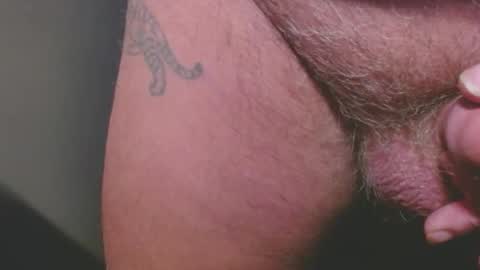 Snapshot of zerozero5555 chatting on January 17, 2026, 8:56 pm bambi cumslut online show from January 17, 2026, 8:56 pm