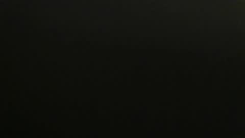 Snapshot of zfanatic chatting on February 1, 2025, 4:54 pm ZFanatic online show from February 1, 2025, 4:54 pm