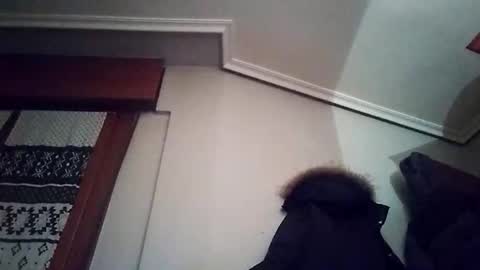 zigor13 online show from February 4, 2026, 9:31 pm