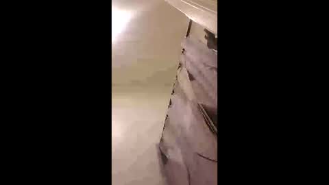 zooted12 online show from February 24, 2026, 10:19 pm