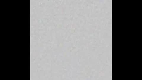 Zophy online show from February 11, 2026, 2:49 am