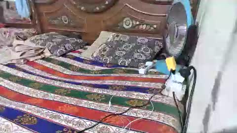 Snapshot of zoyakhan803 chatting on February 12, 2026, 10:05 pm zoyakhan803 online show from February 12, 2026, 10:05 pm