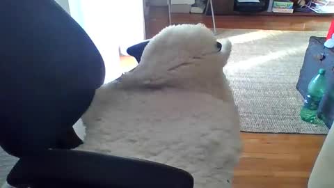 zyggy87 online show from February 23, 2026, 6:55 am