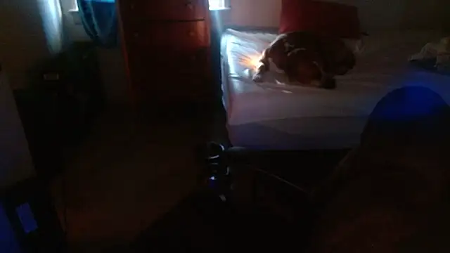 Snapshot of DADDY_KANE8--- chatting on January 17, 2026, 9:29 pm DADDY KANE8--- online show from January 17, 2026, 9:29 pm