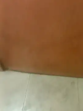 Rupok dulavai online show from November 21, 2025, 10:08 pm