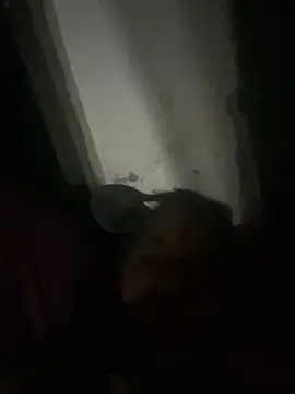 Snapshot of punhetaba chatting on February 24, 2026, 3:48 am punhetaba online show from February 24, 2026, 3:48 am