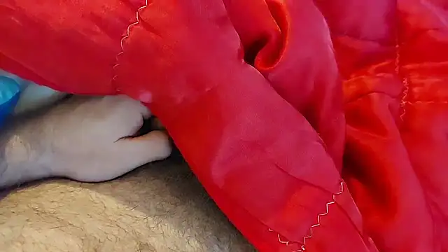 Snapshot of Ettarak chatting on February 8, 2026, 12:14 am Ettarak online show from February 8, 2026, 12:14 am