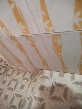 Sanjaymartin29 online show from March 21, 2025, 2:50 am