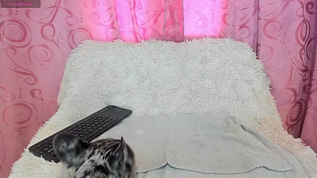 Snapshot of iisabella_gonzalez chatting on September 13, 2025, 8:08 pm iisabella gonzalez online show from September 13, 2025, 8:08 pm