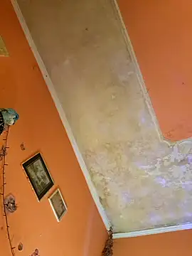 ducicsajsziii online show from January 10, 2025, 7:25 am