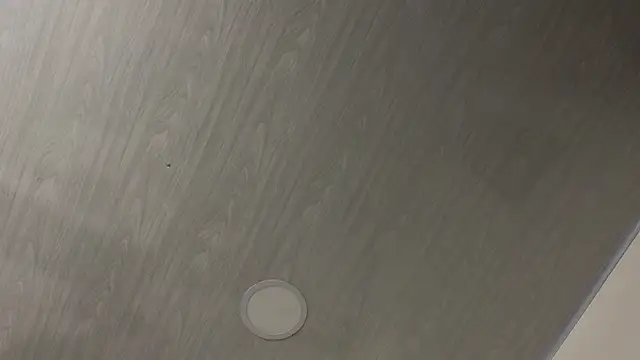 dolly zoe online show from February 24, 2026, 5:16 am