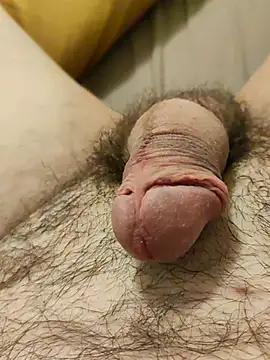 Jp26390 online show from December 16, 2025, 9:47 am