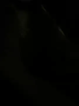 Snapshot of RoodoggXL chatting on March 22, 2025, 3:20 am RoodoggXL online show from March 22, 2025, 3:20 am