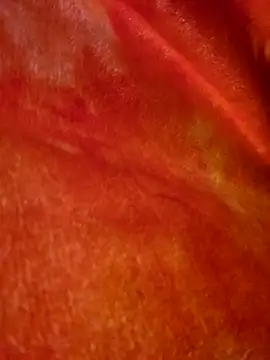 SmokeShow686 online show from March 5, 2025, 1:50 pm