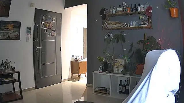 stupid babybird online show from April 5, 2026, 11:13 pm