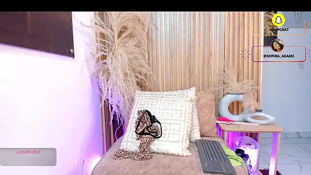 Snapshot of sofhiaa_adaams chatting on February 14, 2026, 11:12 pm sofhiaa adaams online show from February 14, 2026, 11:12 pm