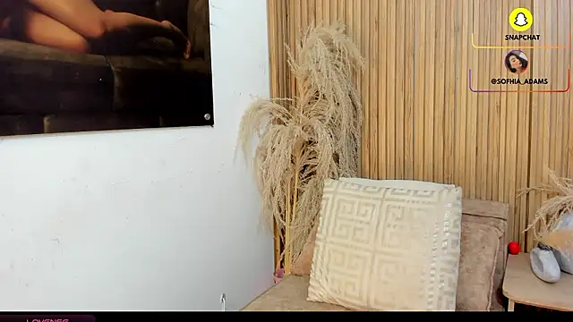 Snapshot of sofhiaa_adaams chatting on February 20, 2026, 10:43 pm sofhiaa adaams online show from February 20, 2026, 10:43 pm