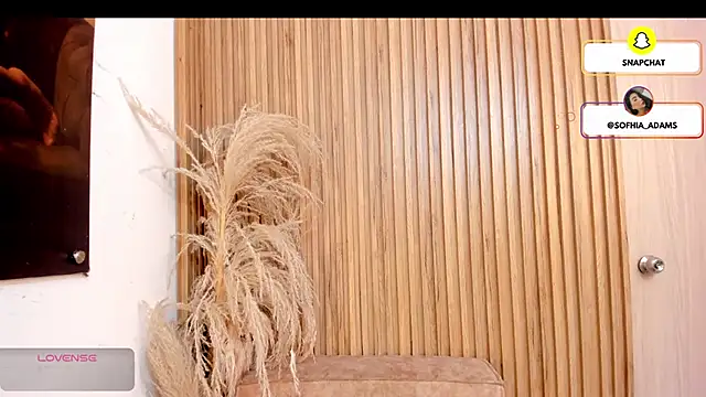 Snapshot of sofhiaa_adaams chatting on February 22, 2026, 5:11 pm sofhiaa adaams online show from February 22, 2026, 5:11 pm