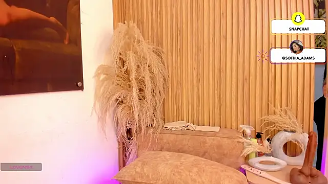 Snapshot of sofhiaa_adaams chatting on February 25, 2026, 10:30 pm sofhiaa adaams online show from February 25, 2026, 10:30 pm