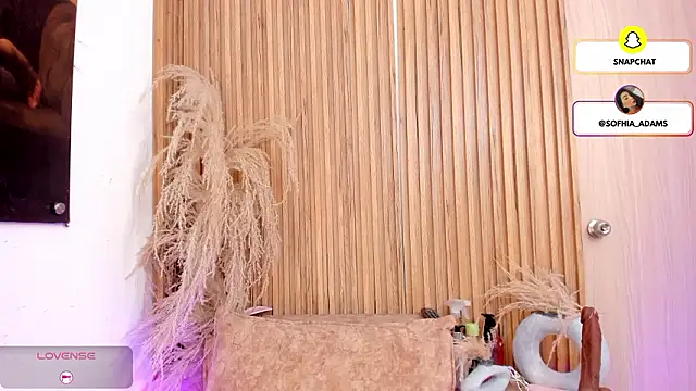 Snapshot of sofhiaa_adaams chatting on February 27, 2026, 10:43 pm sofhiaa adaams online show from February 27, 2026, 10:43 pm