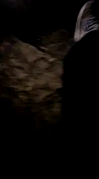 Snapshot of playtyme420691 chatting on December 7, 2024, 5:15 am playtyme420691 online show from December 7, 2024, 5:15 am