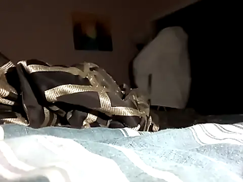 Snapshot of Blkstylion chatting on November 1, 2025, 1:07 am Blkstylion online show from November 1, 2025, 1:07 am