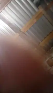 Snapshot of Moreno1813 chatting on November 5, 2025, 6:13 am Moreno1813 online show from November 5, 2025, 6:13 am