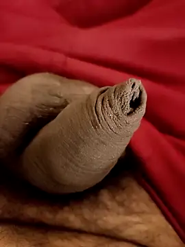 Ashish02345 online show from January 25, 2025, 8:31 pm