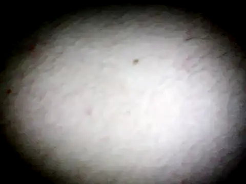 Snapshot of anald66666 chatting on January 13, 2025, 7:43 am anald66666 online show from January 13, 2025, 7:43 am