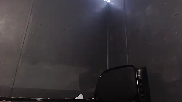 Dogz n daugthers online show from January 29, 2025, 8:25 pm