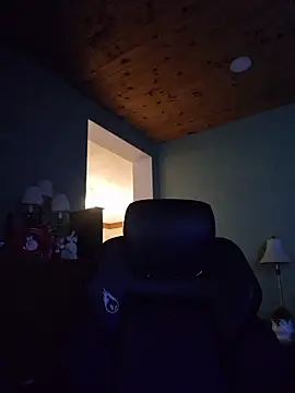 Snapshot of Mitchums chatting on January 16, 2026, 2:48 am Mitchums online show from January 16, 2026, 2:48 am