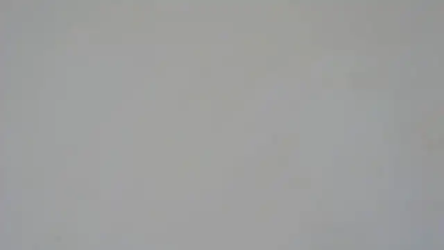 GiseleReine online show from February 5, 2025, 1:33 pm