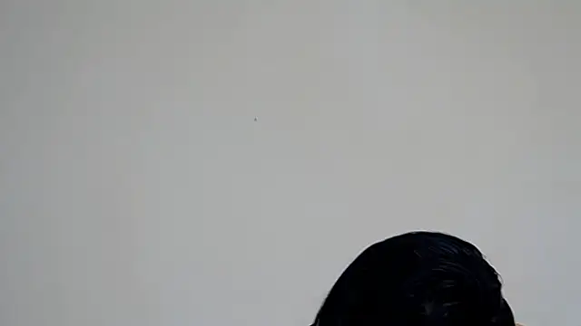 GiseleReine online show from February 7, 2025, 2:04 pm