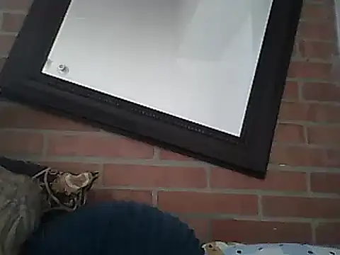 Snapshot of Skater29xx2 chatting on March 15, 2025, 8:10 pm Skater29xx2 online show from March 15, 2025, 8:10 pm