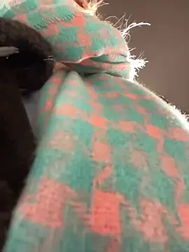 Snapshot of MerlinDave chatting on January 6, 2025, 1:42 am MerlinDave online show from January 6, 2025, 1:42 am